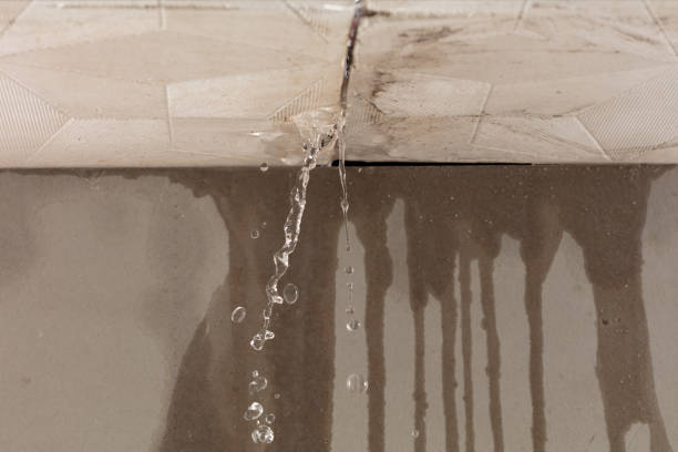 Professional Sewage Cleanup technician working in Vienna, NJ